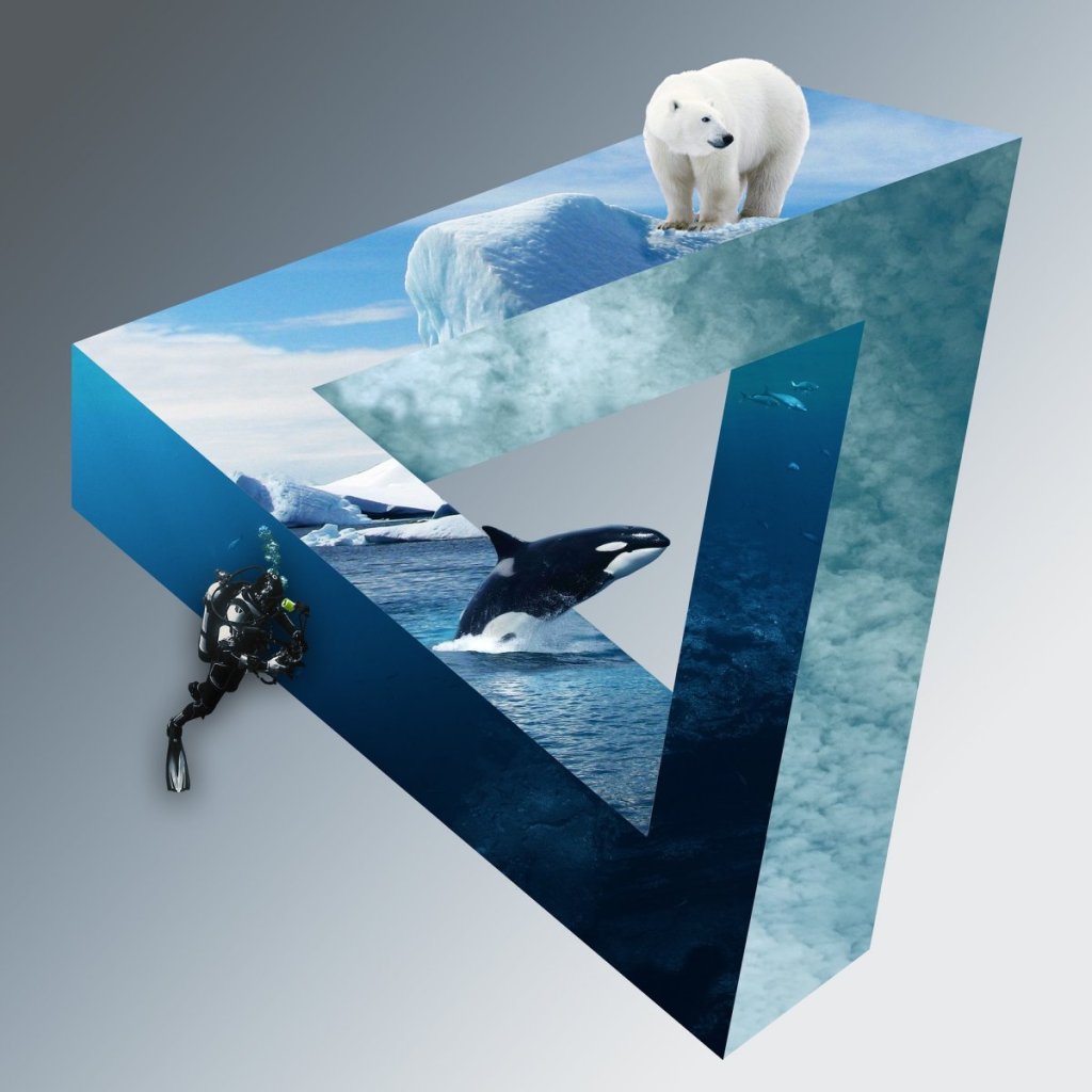 Prosperity Engine: Escher-like diagram of impossible shape with polar bear, killer whale and scuba diver.