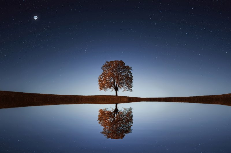 Prosperity Engine: calm lake, tree and night sky