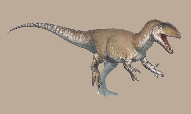 Neovenator, dinosaur mascot of Pangaea Sister Sites project.